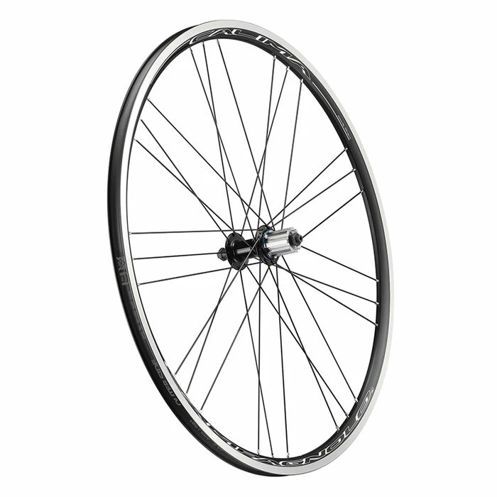 Campagnolo® Paire De Roues Campagnolo Calima à Pneus 14 Campagnolo® Paire De Roues Campagnolo Calima à Pneus – Image 12