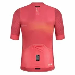 Maillot Manches Courtes Gobik Carrera 2.0 Paradise Unisex 38 Maillot Manches Courtes Gobik Carrera 2.0 Paradise Unisex -Vélos Urbains Soldes Boutique maillot unisex carrera paradise gobik warm series22 2 700x700 1