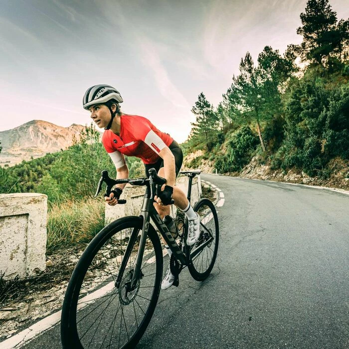 Maillot Manches Courtes Gobik Cx Pro Cranberry Unisex 41 Maillot Manches Courtes Gobik Cx Pro Cranberry Unisex – Image 39